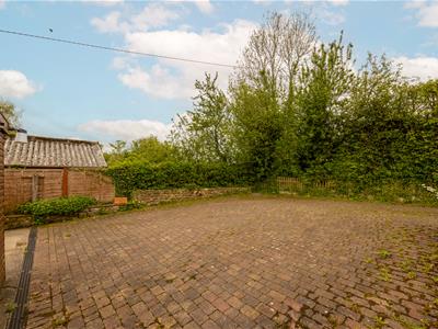 Picture 23